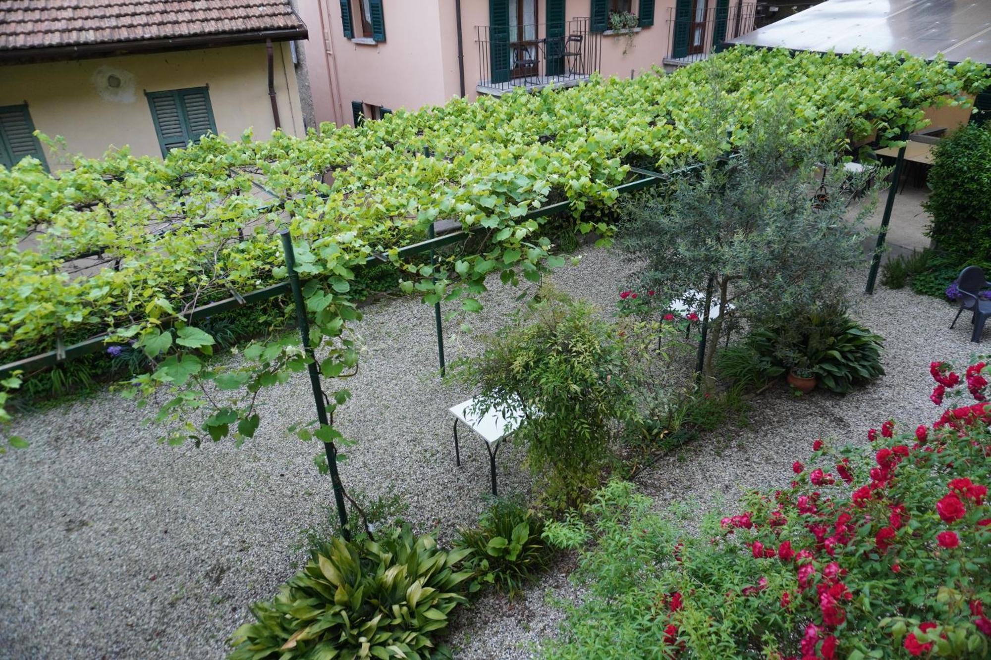 Albergo Giardinetto Μπελάτζιο Εξωτερικό φωτογραφία