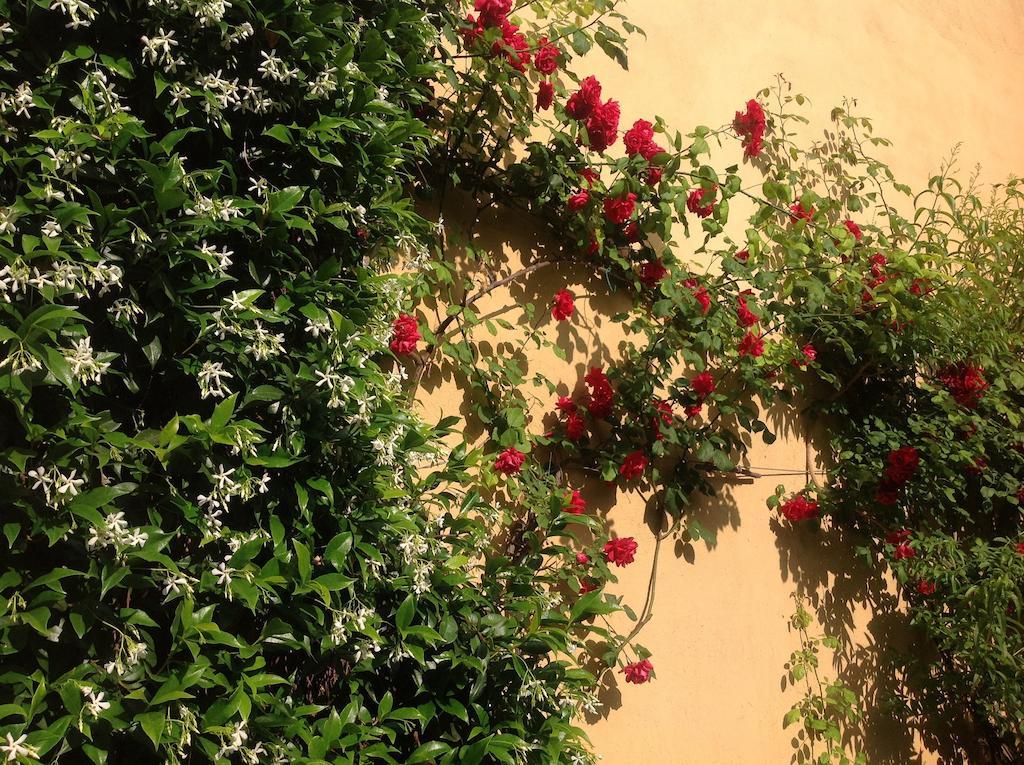 Albergo Giardinetto Μπελάτζιο Εξωτερικό φωτογραφία