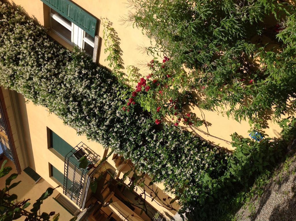 Albergo Giardinetto Μπελάτζιο Εξωτερικό φωτογραφία